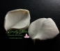 Preview: Frangipani Petal Veiner Large By Simply Nature Botanically Correct Products®